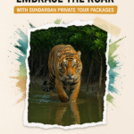 Escape the Noise, Embrace the Roar