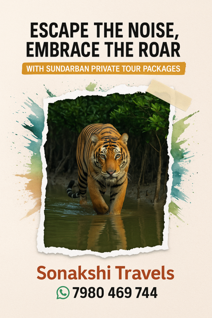 Escape the Noise, Embrace the Roar