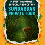 In every mangrove’s shadow, find poetry