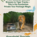 This is the Sundarban Private Tour Package Magic