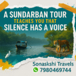 A Sundarban Tour Teaches You That Silence Has a Voice