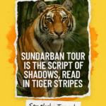 Sundarban Tour is the Script of Shadows