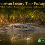 Sundarban Luxury Tour Package: What You Get - Inside inclusions and hidden comforts
