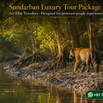 Sundarban Luxury Tour Package for Elite Travelers - Designed for premium jungle experiences