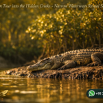 Sundarban Tour into the Hidden Creeks - Narrow Waterways Reveal Secrets