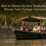 How to Choose the Best Sundarban Private Tour Package Operator