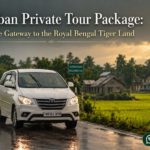 Sundarban Private Tour Package: A Private Gateway to the Royal Bengal Tiger Land