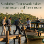Sundarban Tour reveals hidden watchtowers and forest routes