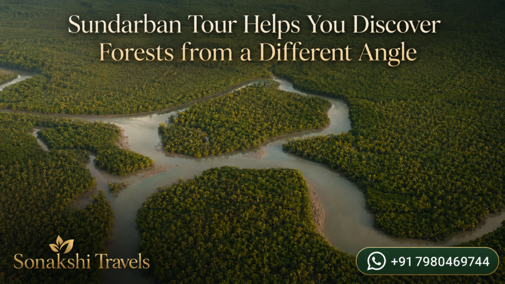 Sundarban Tour Helps You Discover Forests from a Different Angle