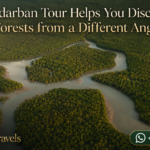 Sundarban Tour Helps You Discover Forests from a Different Angle